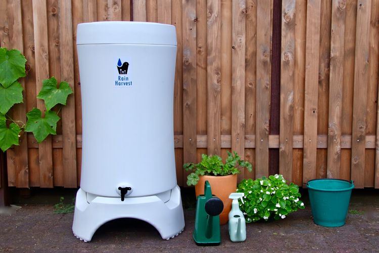 000000000013-06.jpg?size=l&w=