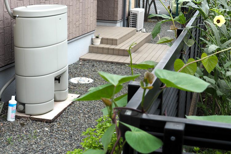 000000000241-03.jpg?size=l&w=