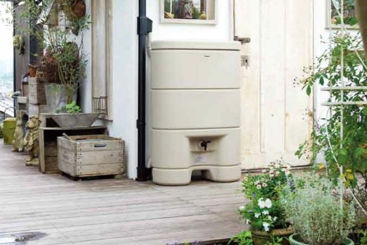 000000000245-01.jpg?size=l&w=