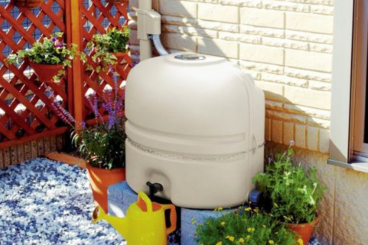 000000000255-01.jpg?size=l&w=