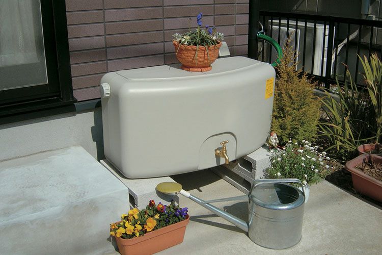 000000000260-01.jpg?size=l&w=