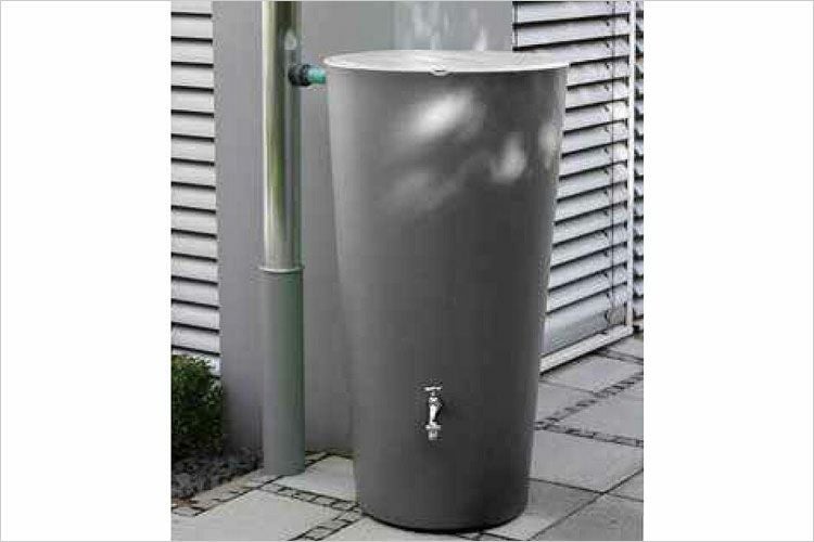 000000000290-01.jpg?size=l&w=