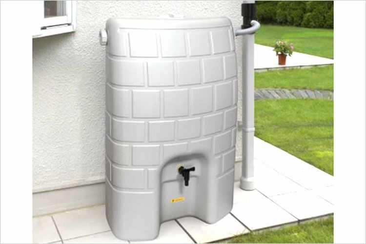 000000000297-01.jpg?size=l&w=