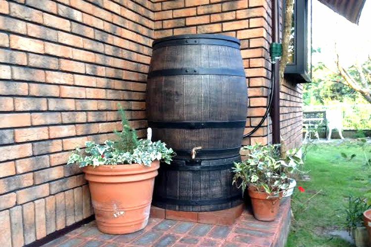 000000000307-01.jpg?size=l&w=