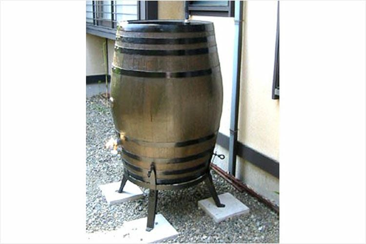 000000000382-01.jpg?size=l&w=