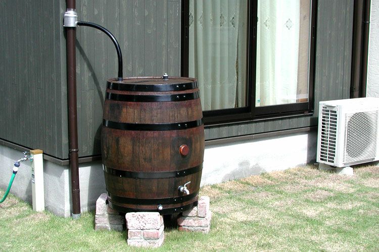 000000000385-01.jpg?size=l&w=