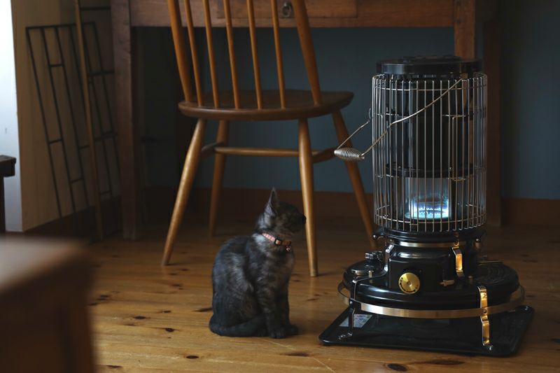 000000000781-01.jpg?size=l&w=