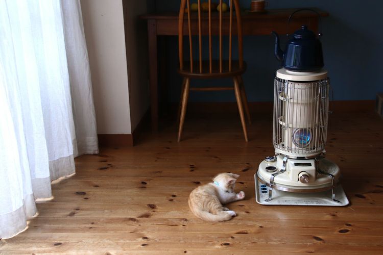 000000000783-02.jpg?size=l&w=