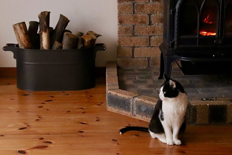 000000001106-04.jpg?size=l&w=