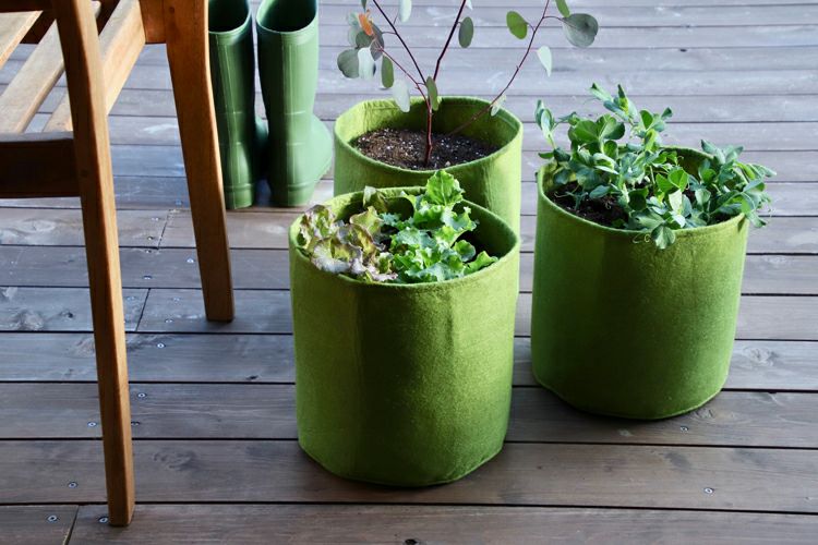 Haxnicks Vigoroot プラントポット 20L 3個入り