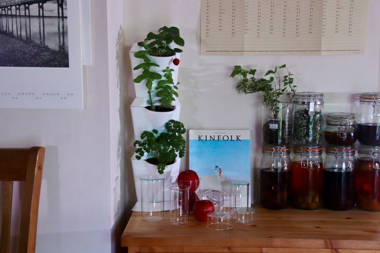 Venso お部屋でミニガーデン・コーナータイプ プランター