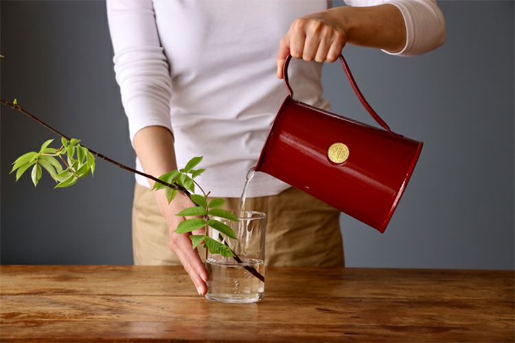 HAWS クラシック ウォータリング ジャグ 水差し | TOKILABOトキラボ