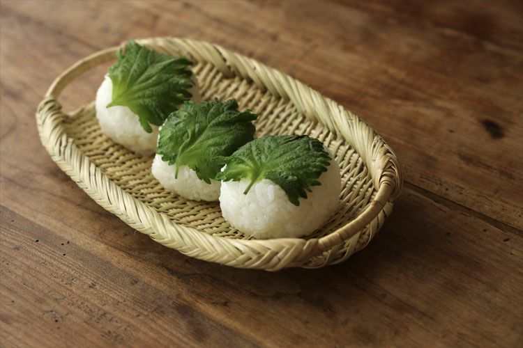 松野屋 持ち手付き篠竹ざる 小 | TOKILABOトキラボ