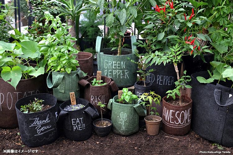 ガーデニング | TOKILABOトキラボ