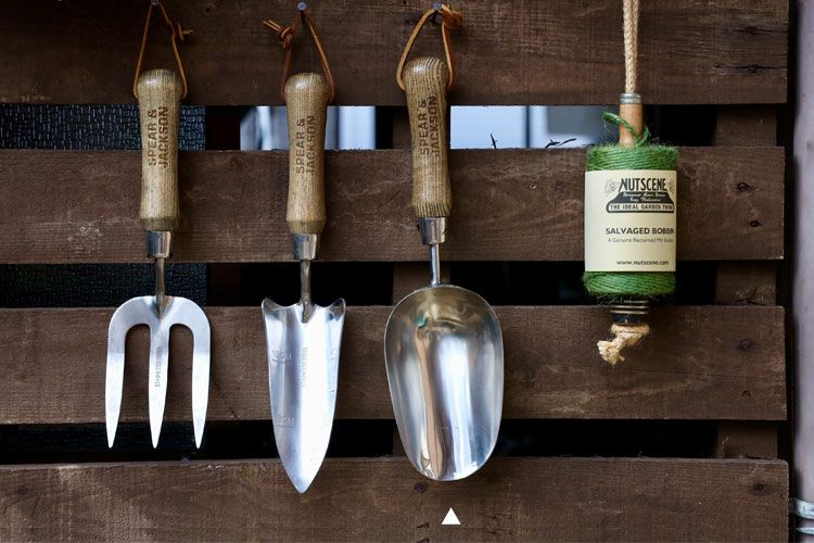 000000001736-01.jpg?size=l&w=