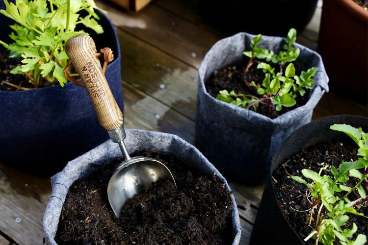 000000001736-02.jpg?size=l&w=