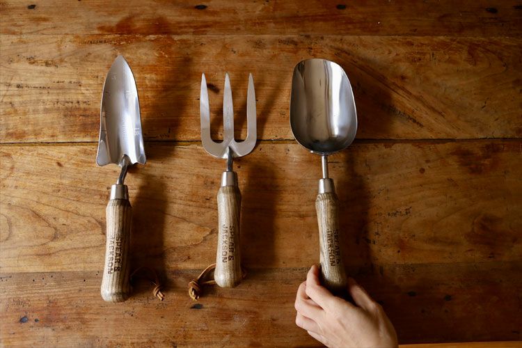 000000001736-05.jpg?size=l&w=