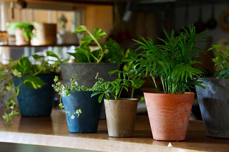 000000001781-03.jpg?size=l&w=