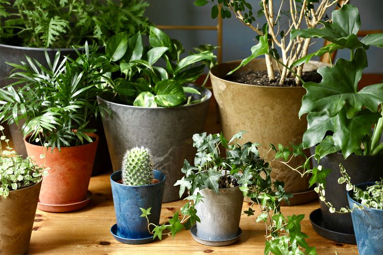 000000001782-01.jpg?size=l&w=