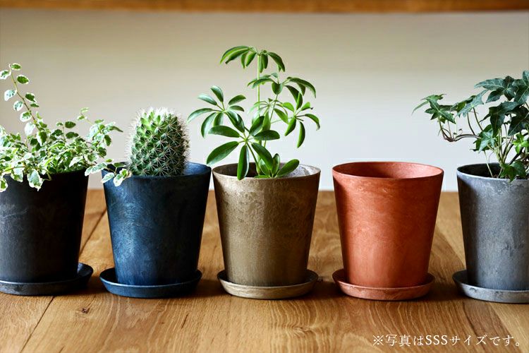 000000001782-04.jpg?size=l&w=