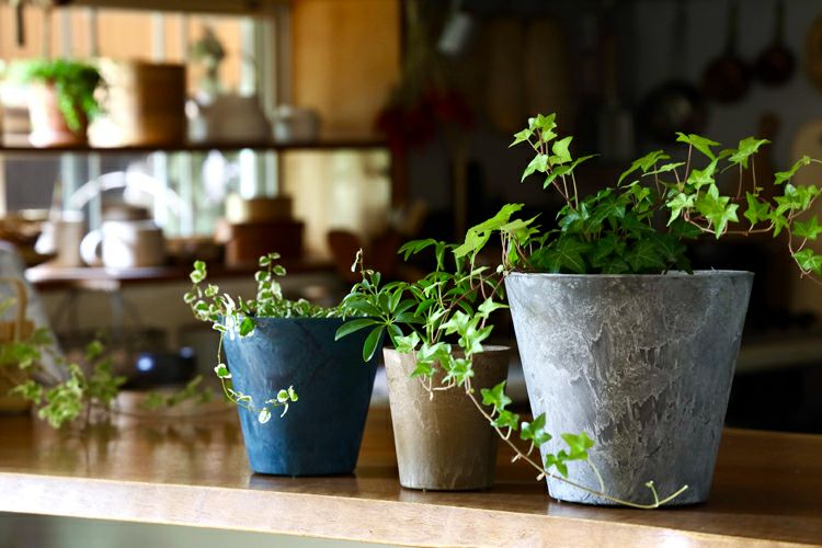 000000001782-05.jpg?size=l&w=