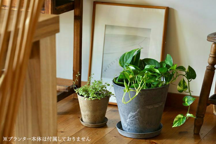 amabro アートストーン ソーサ― LL | TOKILABOトキラボ
