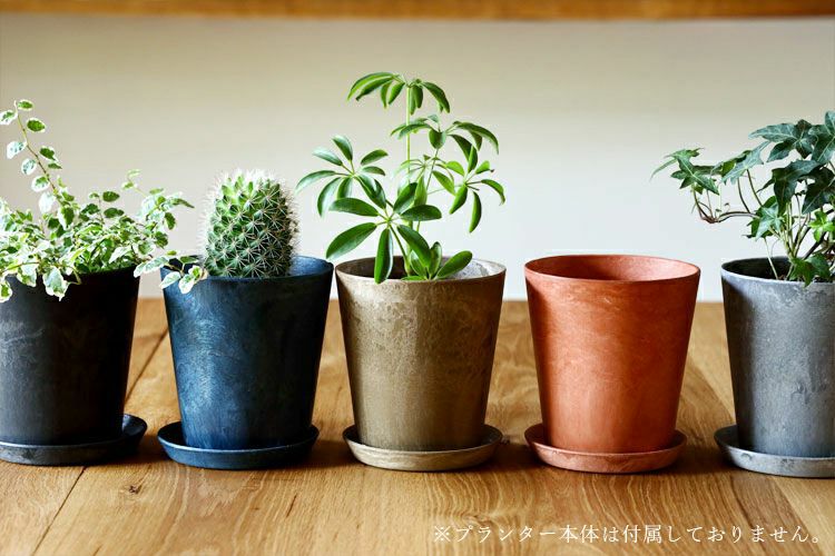 amabro アートストーン ソーサ― LL | TOKILABOトキラボ