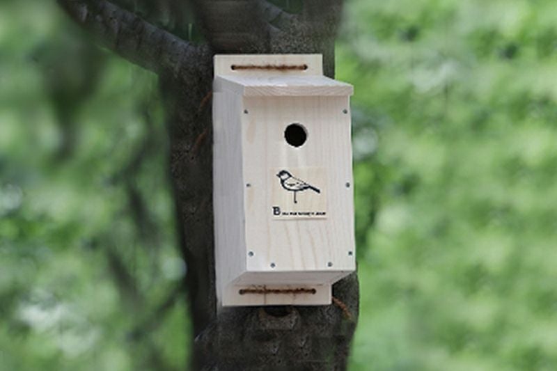 000000001935-03.jpg?size=l&w=