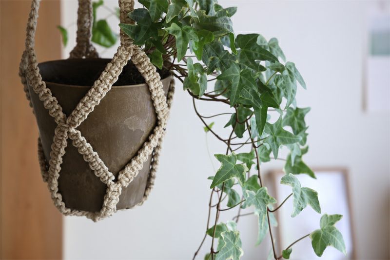 amabro ハンギングプランターSET（植木鉢+吊りひも） | TOKILABOトキラボ