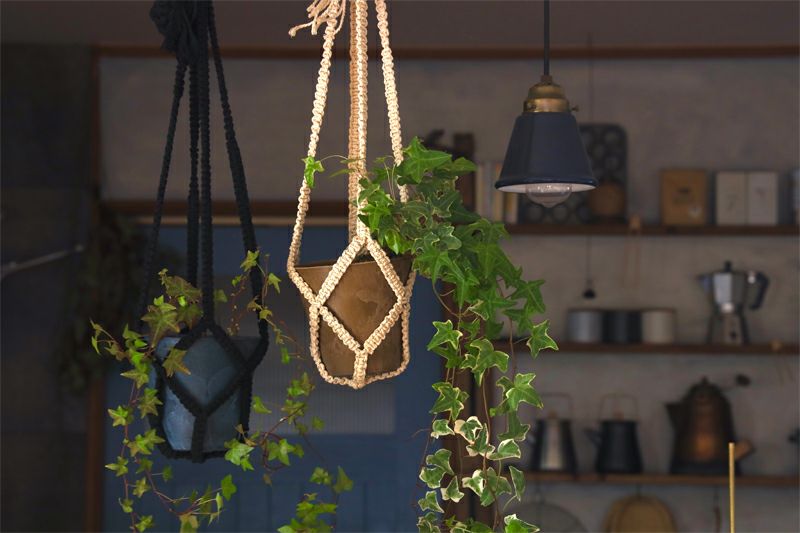 000000001945-04.jpg?size=l&w=