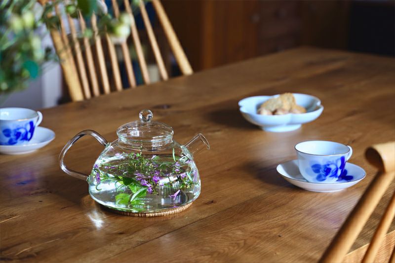 直火 ガラスケトル NOVA1.2 | TOKILABOトキラボ