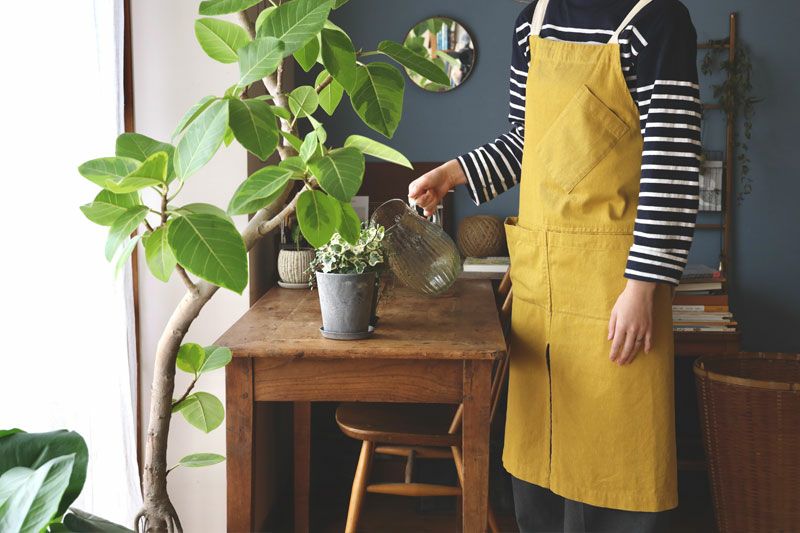 000000002126-02.jpg?size=l&w=