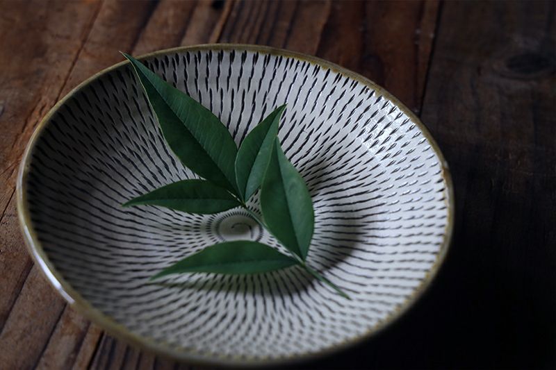 とびかんな 6寸皿 小鹿田焼 | TOKILABOトキラボ